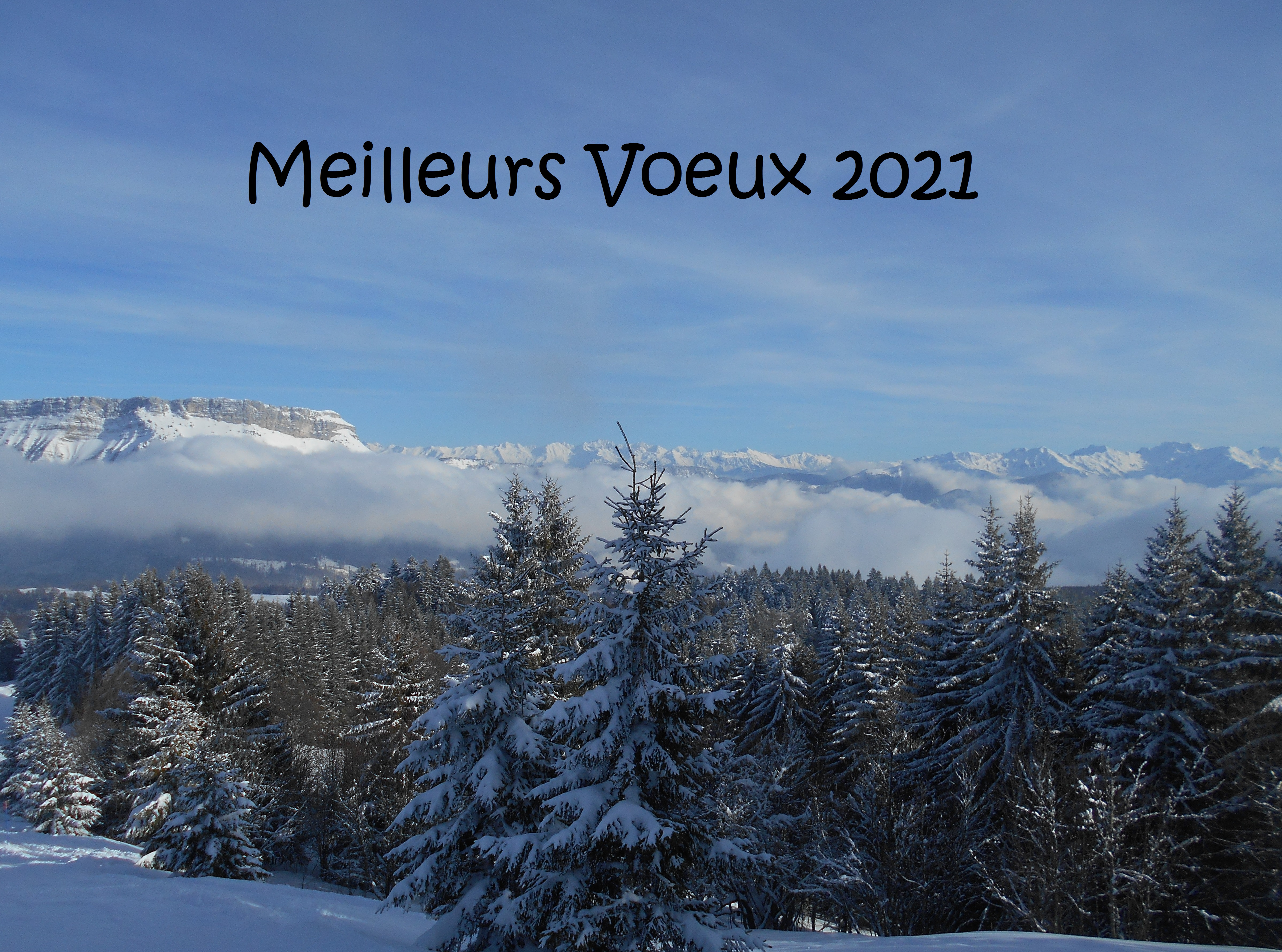 voeux-2021