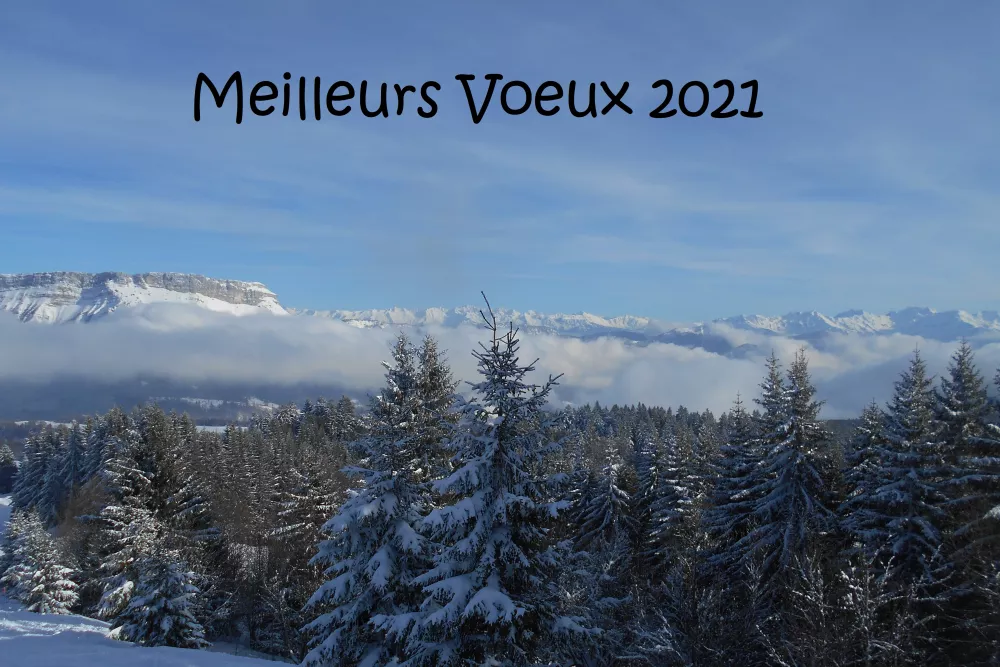 Voeux 2021