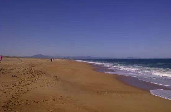 TARNOS 2011
