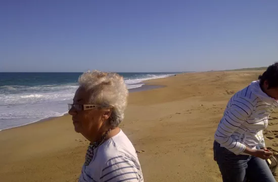 TARNOS 2011